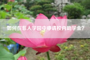 如何在非人学园中申请校内助学金？  第1张