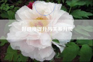 好感度提升与关系升级  第1张