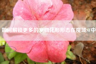 如何解锁更多的宠物化形形态在魔域SF中  第1张