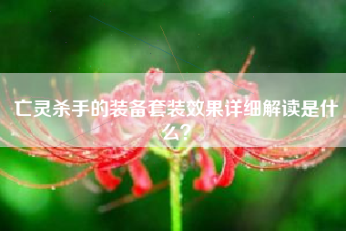 亡灵杀手的装备套装效果详细解读是什么？  第1张