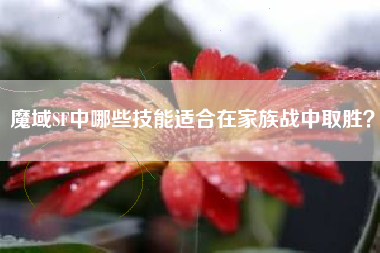 魔域SF中哪些技能适合在家族战中取胜？  第1张