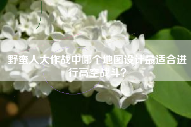 野蛮人大作战中哪个地图设计最适合进行高空战斗？  第1张