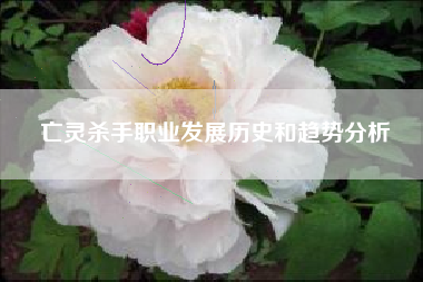 亡灵杀手职业发展历史和趋势分析  第1张