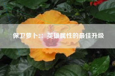 保卫萝卜2：英雄属性的最佳升级  第1张