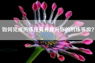 如何完成历练任务并提升你的历练等级？  第1张