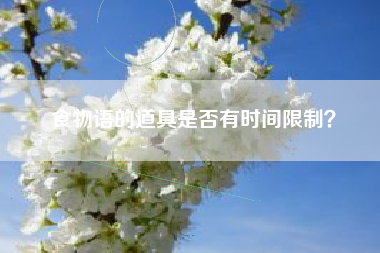 食物语的道具是否有时间限制？  第1张