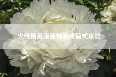 火线精英版独特游戏模式攻略  第1张