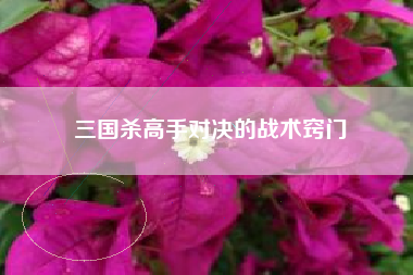 三国杀高手对决的战术窍门  第1张