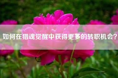 如何在猎魂觉醒中获得更多的转职机会？  第1张