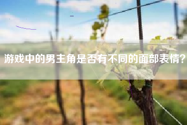 游戏中的男主角是否有不同的面部表情？  第1张