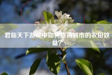 君临天下游戏中如何提高城市的农田效益？  第1张