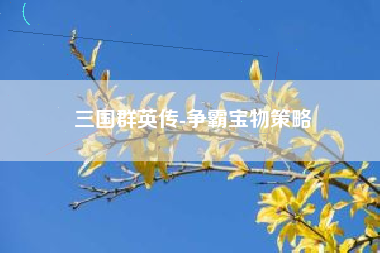 三国群英传-争霸宝物策略  第1张