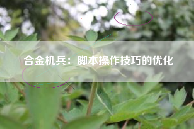 合金机兵：脚本操作技巧的优化  第1张