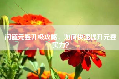 问道元婴升级攻略，如何快速提升元婴实力？  第1张