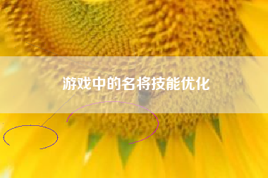 游戏中的名将技能优化  第1张