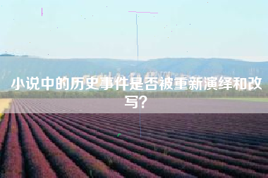 小说中的历史事件是否被重新演绎和改写？  第1张
