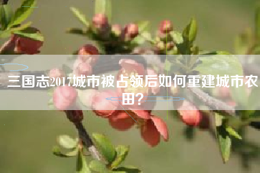 三国志2017城市被占领后如何重建城市农田？  第1张