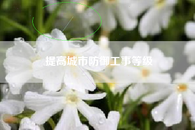 提高城市防御工事等级  第1张