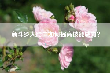 新斗罗大陆中如何提高技能威力？  第1张