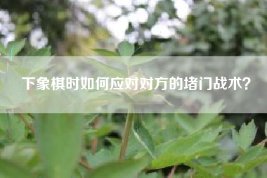 下象棋时如何应对对方的堵门战术？  第1张