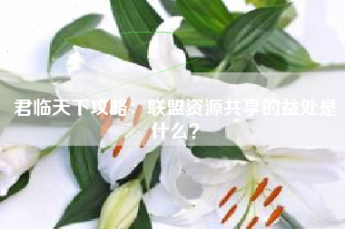君临天下攻略：联盟资源共享的益处是什么？  第1张
