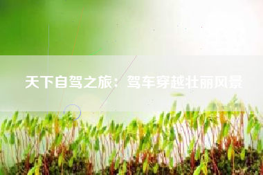 天下自驾之旅：驾车穿越壮丽风景  第1张