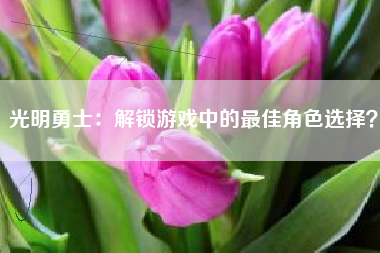 光明勇士：解锁游戏中的最佳角色选择？  第1张