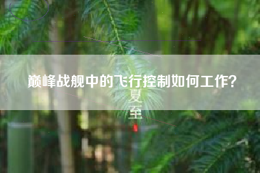 巅峰战舰中的飞行控制如何工作？  第1张