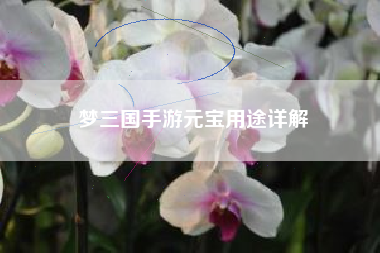梦三国手游元宝用途详解  第1张