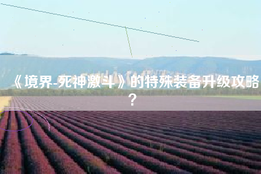 《境界-死神激斗》的特殊装备升级攻略？  第1张