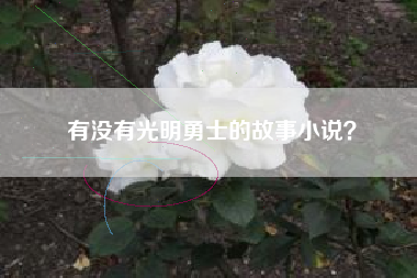 有没有光明勇士的故事小说？  第1张