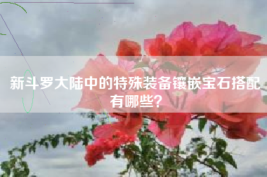 新斗罗大陆中的特殊装备镶嵌宝石搭配有哪些？  第1张