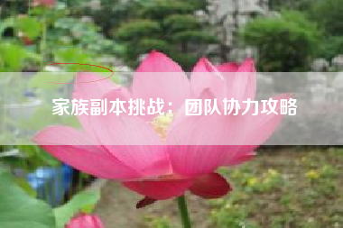 家族副本挑战：团队协力攻略  第1张