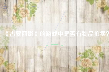 《古墓丽影》的游戏中是否有物品拍卖？  第1张