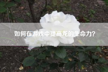 如何在游戏中提高龙的生命力？  第1张