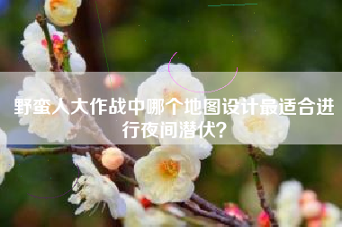 野蛮人大作战中哪个地图设计最适合进行夜间潜伏？  第1张