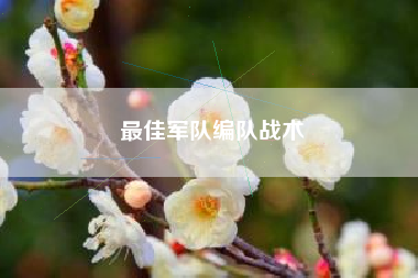 最佳军队编队战术  第1张