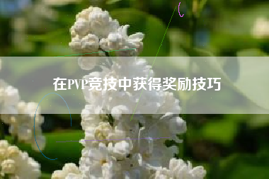 在PVP竞技中获得奖励技巧  第1张