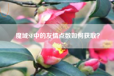 魔域SF中的友情点数如何获取？  第1张