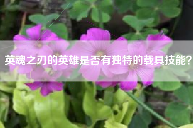 英魂之刃的英雄是否有独特的载具技能？  第1张