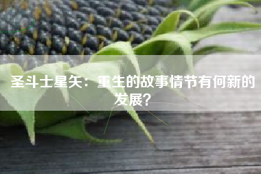圣斗士星矢：重生的故事情节有何新的发展？  第1张