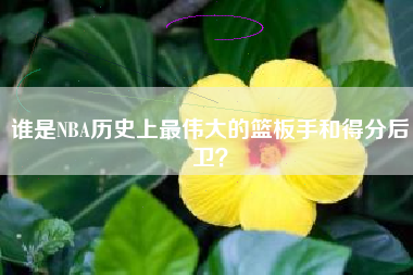 谁是NBA历史上最伟大的篮板手和得分后卫？  第1张