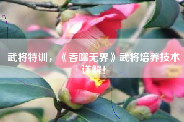 武将特训，《吞噬无界》武将培养技术详解！  第1张