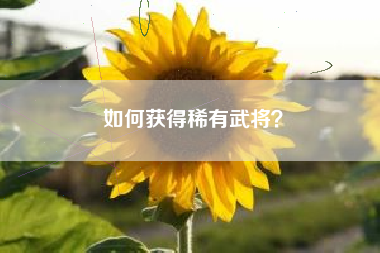 如何获得稀有武将？  第1张