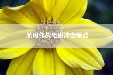 航母作战电磁冲击策略  第1张