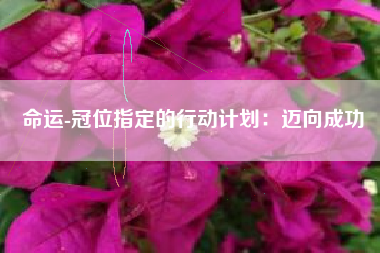 命运-冠位指定的行动计划：迈向成功  第1张