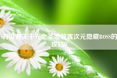 有没有关于光之圣境放置次元隐藏BOSS的攻略？  第1张