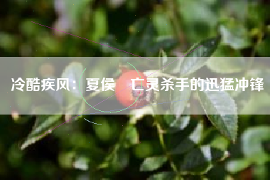 冷酷疾风：夏侯惇亡灵杀手的迅猛冲锋  第1张