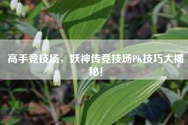 高手竞技场，妖神传竞技场PK技巧大揭秘！  第1张