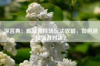 深宫典：巅峰竞技场玩法攻略，如何迎接强者对决？  第1张
